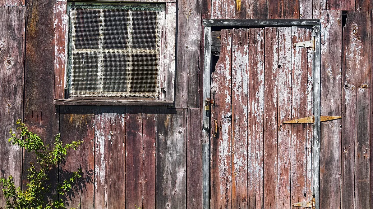 Window and door on a weathered garage wall